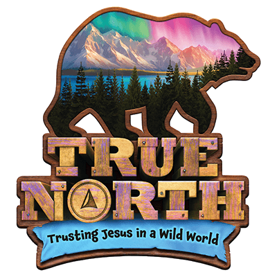 True North
